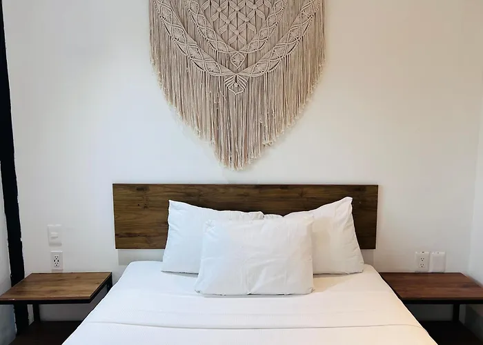 Coco Live Suites